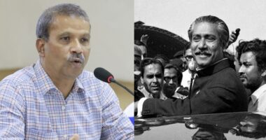 বঙ্গবন্ধুর জন্ম না হলে ১৯৭১ সালে দেশ স্বাধীন হতো না: আসিফ নজরুল