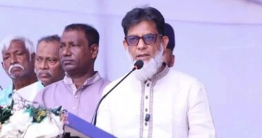 বিএনপির কেউ অপরাধে জড়িত থাকলে ছাড় দেওয়া হবে না: প্রতিমন্ত্রী হাবিব