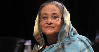 সরকার নয়, শেখ হাসিনাকে প্রত্যর্পণের সিদ্ধান্ত নেবে ভারতের আদালত