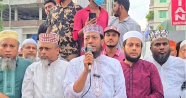 গণঅধিকার পরিষদ এখন গণধিকৃত পরিষদে পরিণত হয়েছে: এমপি আমির হামজা