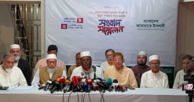 আমরা এই সরকারকে ব্যর্থ দেখতে চাই না : মিয়া গোলাম পরওয়ার