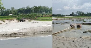  চিলাহাটিতে নদীতে অবৈধ ড্রেজার মেশিন বসিয়ে বালু উত্তোলন, ভাঙনের ঝুঁকিতে সরকারি বনাঞ্চল
