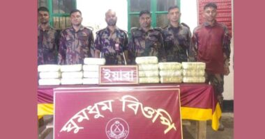 ঘুমধুম সীমান্তে বিজিবির অভিযানে ২ লাখ পিস ইয়াবা উদ্ধার