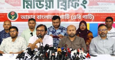 সরকারের গতি-অগ্রগতি হতাশাজনক :এবি পার্টি
