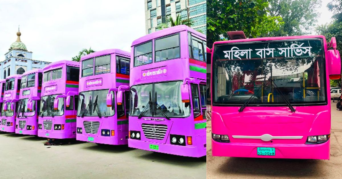 ঢাকায় আজ থেকে নারীদের জন্য চালু হচ্ছে পিংক বাস, চালক-কন্ডাক্টরও নারী