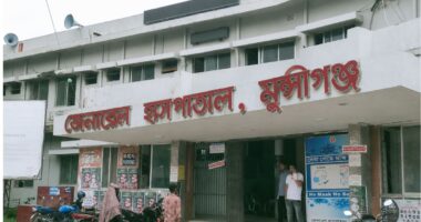 মুন্সীগঞ্জে ডেঙ্গুর ভয়াবহতা, ১৭ দিনেই হাসপাতালে ৩৬০ রোগী