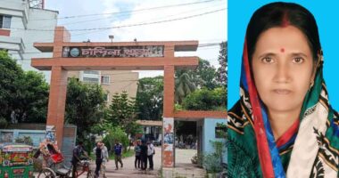 ঘরে ঢুকে পিটিয়ে গৃহকর্ত্রীকে হত্যা