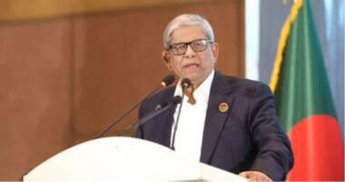 ‘আমি কখনও ভাবিনি যে রাষ্ট্রপতি হবো,রাষ্ট্রপতি হলেও জনগণের পাশে থেকে সেবা করবো’: মির্জা ফখরুল