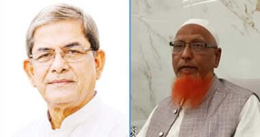 মির্জা ফখরুলকে রাষ্ট্রপতি হিসেবে স্বাগত জানালেন খেলাফত মজলিসের নায়েবে আমির