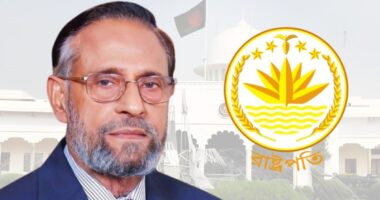 সংসদ সদস্য না হওয়ায় রাষ্ট্রপতি নির্বাচনে ভোট দিতে পারবেন না ১১ দলের প্রার্থী কর্নেল অলি আহমদ