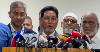 রাষ্ট্রপতির শপথের সঙ্গে সঙ্গে মির্জা ফখরুলের এমপি-মন্ত্রীর পদ শূন্য হবে: চিফ হুইপ