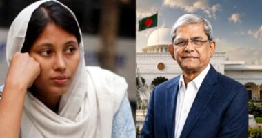রাষ্ট্রপতির পুরোনো পোস্টের স্ক্রিনশট দিয়ে ফাতিমা তাসনিম জুমা লিখলেন, ‘ওয়াদা পূরণ করুন’