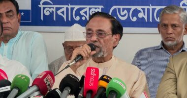 ‘মাজার জিয়ারত ও মসজিদে নামাজ পড়া ছাড়া স্বাধীনভাবে রাষ্ট্রপতির কোনো কাজ করার সুযোগ নাই’: কর্নেল অলি