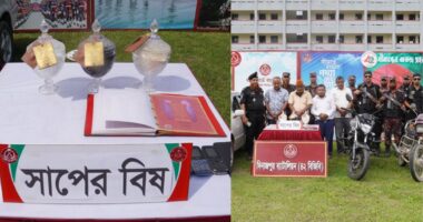 চিরিরবন্দরে ৩৮ কোটি ৫৭ লাখ টাকার সাপের বিষ জব্দ, আটক ৪