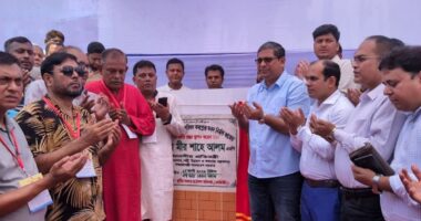 দেশে বর্তমানে সত্যিকারের গণতন্ত্র বিরাজ করছে,প্রতিমন্ত্রী মীর শাহে আলম