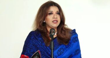 কাজের পরিধি ও গতি বাড়াতেই পররাষ্ট্রে দুই প্রতিমন্ত্রী: শামা ওবায়েদ