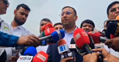 শেখ হাসিনা পালিয়ে যাওয়া সন্ত্রাসী: পররাষ্ট্র প্রতিমন্ত্রী হুমায়ুন কবির