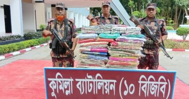 কুমিল্লা সীমান্তে বিজিবির পৃথক অভিযানে প্রায় ৯৩ লাখ টাকার ভারতীয় পণ্য জব্দ