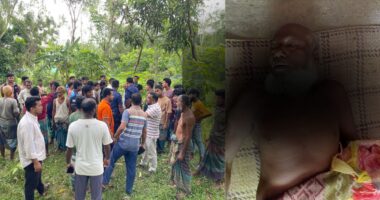 ঘাস কাটতে গিয়ে বিদ্যুৎস্পৃষ্ট হয়ে কৃষকের মৃত্যু
