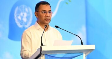 সেপ্টেম্বরে নিউইয়র্ক যাচ্ছেন প্রধানমন্ত্রী তারেক রহমান