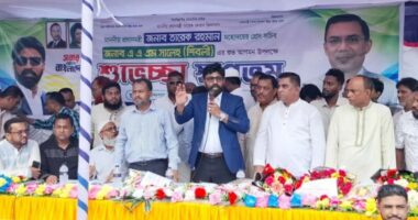 প্রধানমন্ত্রীর ‘আই হ্যাভ আ প্ল্যান’ কমিটমেন্টের সফল বাস্তবায়ন হবে: প্রেস সচিব
