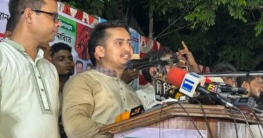 স্থানীয় সরকার নির্বাচনে অংশ নেবে এনসিপি: সারজিস