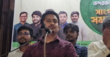 স্থানীয় সরকার নির্বাচনে অংশ নেবে এনসিপি: সারজিস আলম
