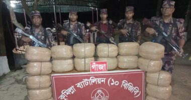 কুমিল্লা সীমান্তে ১০ বিজিবি'র অভিযানে ৮০ কেজি ভারতীয় গাঁজা উদ্ধার