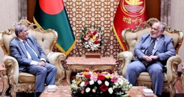 রাষ্ট্রপতির মির্জা ফখরুল ইসলাম আলমগীরের সঙ্গে প্রধান বিচারপতি জুবায়ের রহমান চৌধুরীর সৌজন্য সাক্ষাৎ
