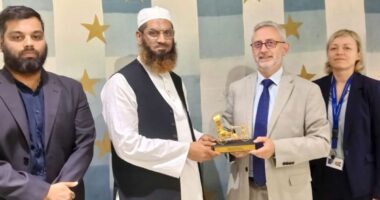ইইউ রাষ্ট্রদূতের সঙ্গে মামুনুল হকের সৌজন্য সাক্ষাৎ