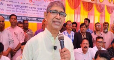 যে সংকট চলছে এটা আমাদের নয়, ১৮ বছরের ফ্যাসিবাদ এটি তৈরি করেছে: মুক্তিযুদ্ধমন্ত্রী