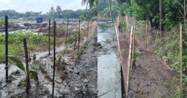 আট পরিবারের চলাচলের রাস্তায় এবং হেলিপ্যাডের উপর গাছের চারা লাগালেন লালমোহন পৌর প্রশাসক