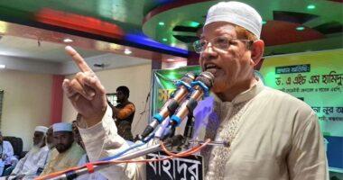 ষড়যন্ত্র ও চক্রান্ত করে জামায়াতে ইসলামীর অগ্রযাত্রা থামানো যাবে না: হামিদুর রহমান