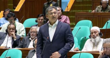 ‘এটা প্রশ্ন হলো,না পল্টনের বক্তৃতা বুঝতে পারিনি’: সংসদে হাসনাতকে স্বরাষ্ট্রমন্ত্রী