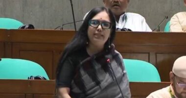পররাষ্ট্রমন্ত্রী যেমন তিনজন আছেন, ৬৪ জেলায় ৬৪টি স্বরাষ্ট্রমন্ত্রী থাকলে মন্দ হতো না: রুমিন ফারহানা