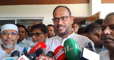 ঢাকার আইনশৃঙ্খলা ও উন্নয়ন দেখভালের দায়িত্ব পেলেন প্রতিমন্ত্রী টুকু