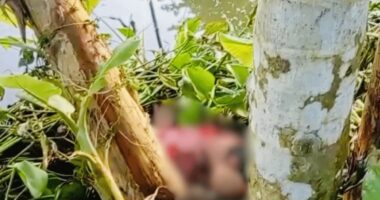 পাওনা টাকা চাওয়া নিয়ে কলহের জেরে বড় ভাইয়ের হাতে বোন খুন