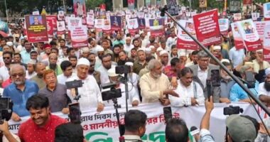 স্পিকারের কাছে স্মারকলিপি দিলেন ১১ দলীয় ঐক্যের নেতারা