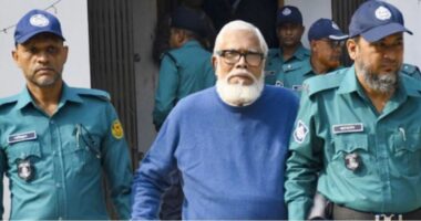 সালমান এফ রহমানের পক্ষে লড়তে এক বিদেশি আইনজীবীর আবেদন