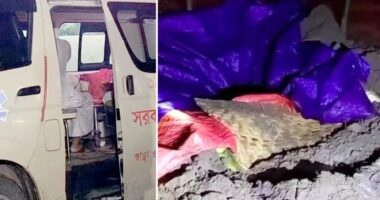 ‘জিনের নির্দেশে’ দাফনের ১২ ঘণ্টা পর কবর থেকে মায়ের মরদেহ উত্তোলন করলো সন্তানেরা