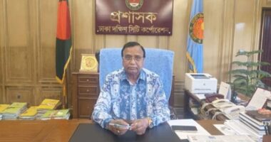 রাজধানীতে ব্যাটারিচালিত রিকশায় শৃঙ্খলা আনতে অঞ্চলভিত্তিক চলাচলের উদ্যোগ