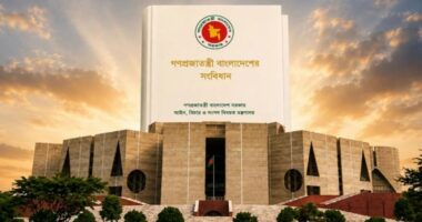 বিরোধী জোট নাম দেয়নি, সংবিধান সংশোধনের কাজ শুরু করছে সরকার