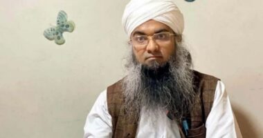 প্রধানমন্ত্রীকে নিয়ে ‘আপত্তিকর’ পোস্টের অভিযোগে গাজী সালাউদ্দিনের বিরুদ্ধে মামলা