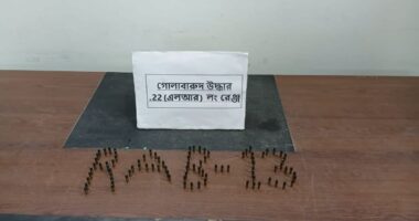 দিনাজপুরে পরিত্যক্ত দুটি ব্যাগে মিলল ৯২ রাউন্ড গুলি