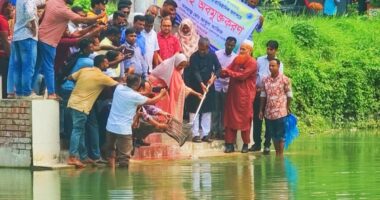 গুরুদাসপুরে ৯ জলাশয়ে মাছের পোনা অবমুক্ত