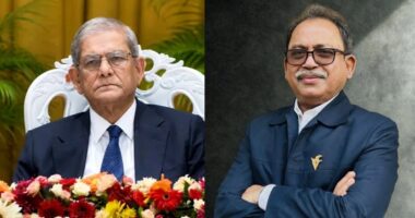 বিএনপির মনোনয়ন ফরম নিলেন রাষ্ট্রপতির ছোট ভাই মির্জা ফয়সল আমিন