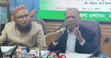 সরকারি চাকরিজীবীদের কাজ হলো কিছু চুরি করা, কিছু কাজ করা: বনমন্ত্রী