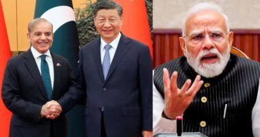 যৌথ সীমান্ত কমিশন চালু করল চীন-পাকিস্তান, আপত্তি ভারতের
