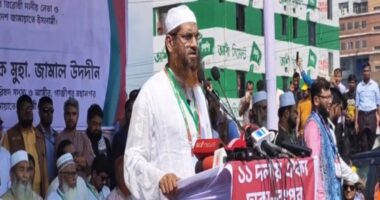 গণভোটের রায় কার্যকর করেই সরকারকে ক্ষমতা ছাড়তে হবে: মামুনুল হক