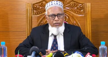 জানুয়ারিতে হতে পারে ইউনিয়ন পরিষদ নির্বাচন: ইসি মাছউদ